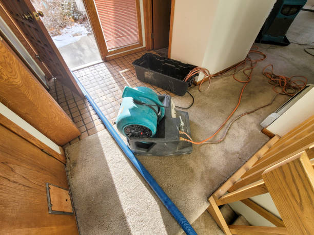 Best Residential water damage restoration  in Caldwell, TX