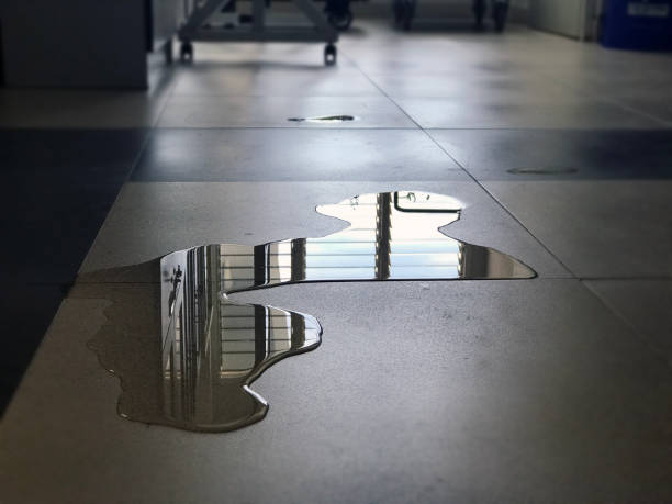 Best Professional water damage repair  in Caldwell, TX