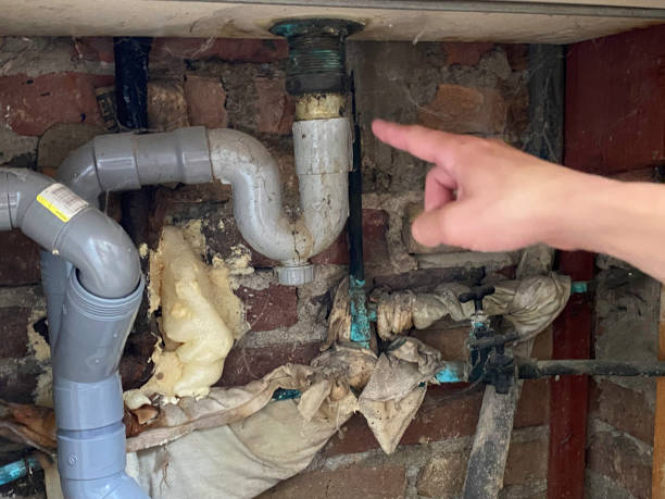 Best Basement water damage restoration  in Caldwell, TX