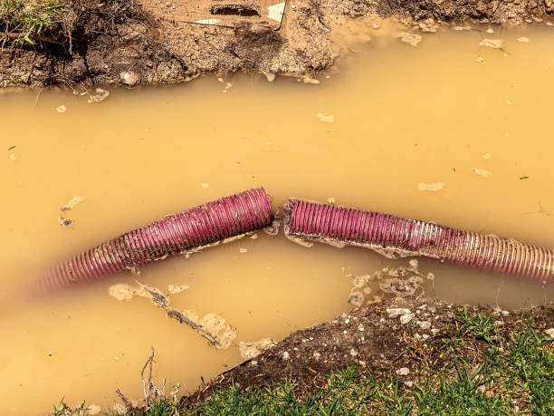 Best Water damage repair service  in Caldwell, TX
